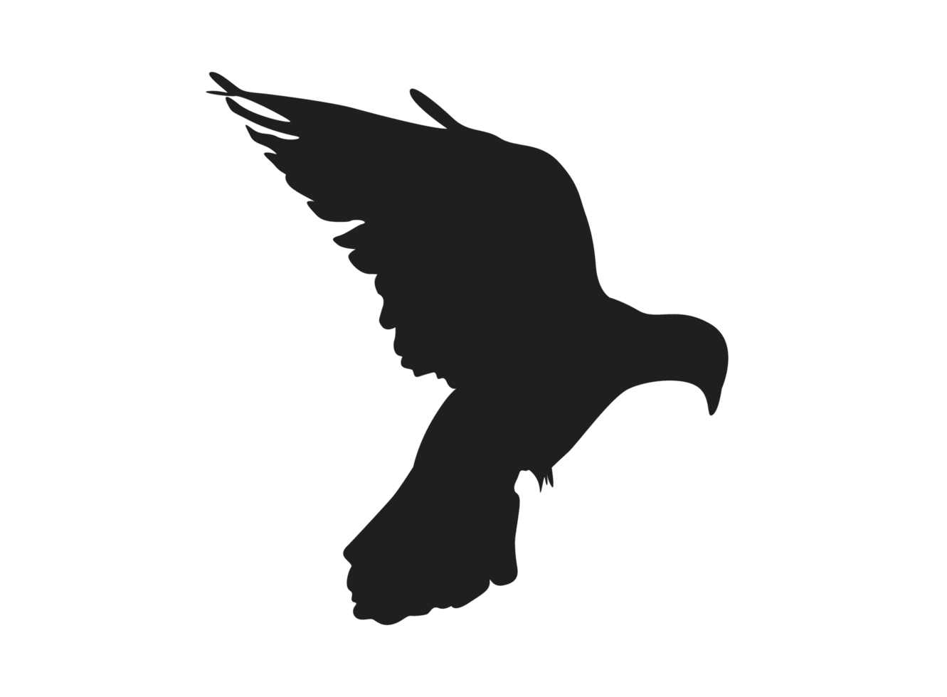 Vogel - fliegende Taubensilhouette png