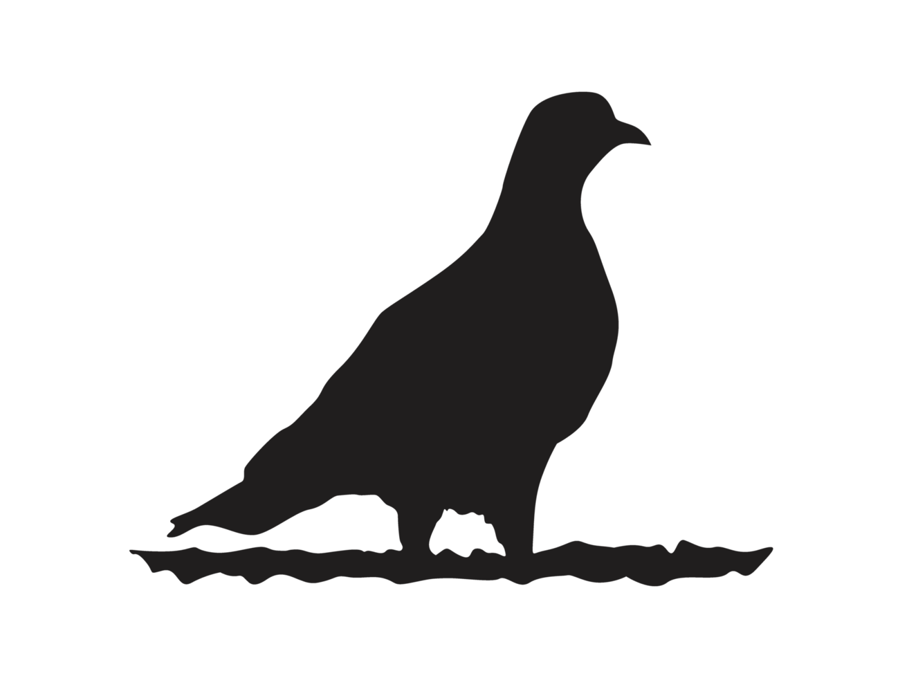 Bird - perching dove silhouette png
