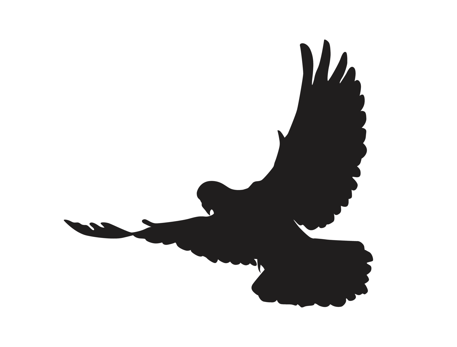 dove silhouette png