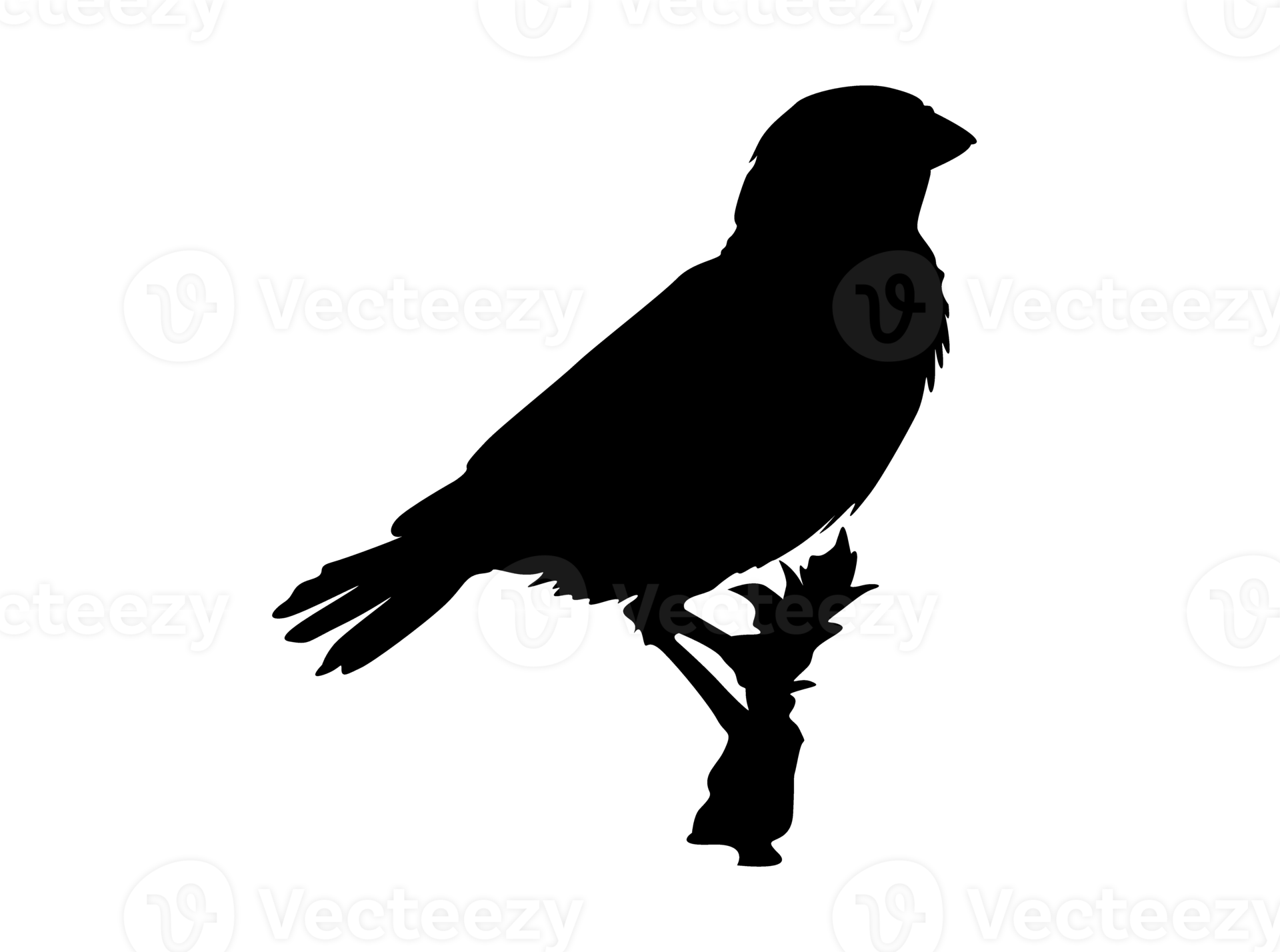 Bird Perching sparrow silhouette 12904504 PNG