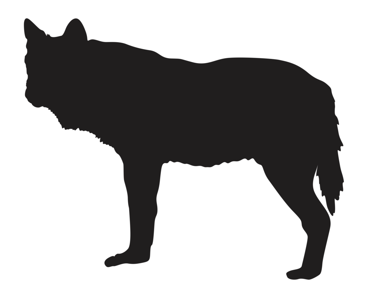 Animal - Wolf Silhouette png