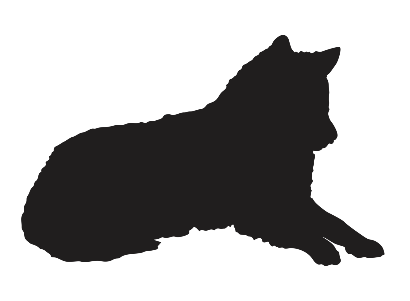 Animal - Wolf Silhouette png