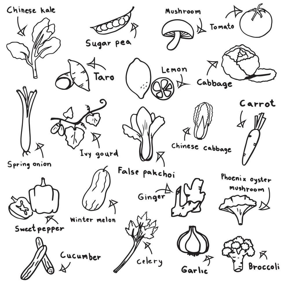 vegetable sketch in black doodle drawing free hand vector on white background