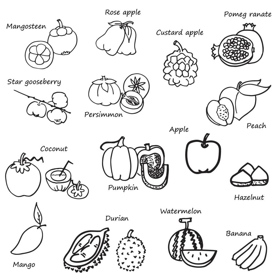 vegetable sketch in black doodle drawing free hand vector on white background