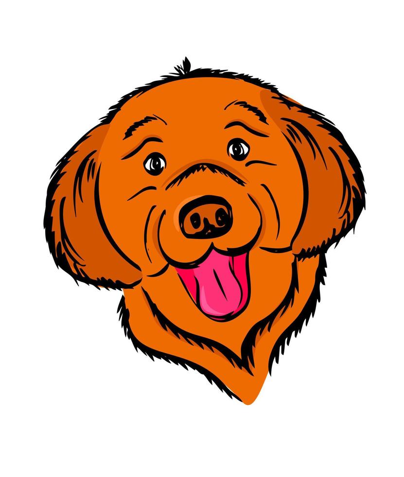 Cute smiling Leonberger puppy. Funny muzzle of a puppy. Sheepdog. Vector, illustration. vector