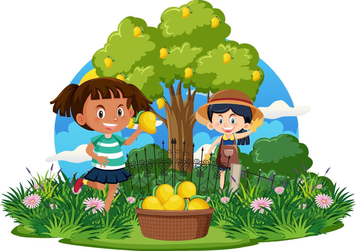 Girls picking mangoes from the tree vector