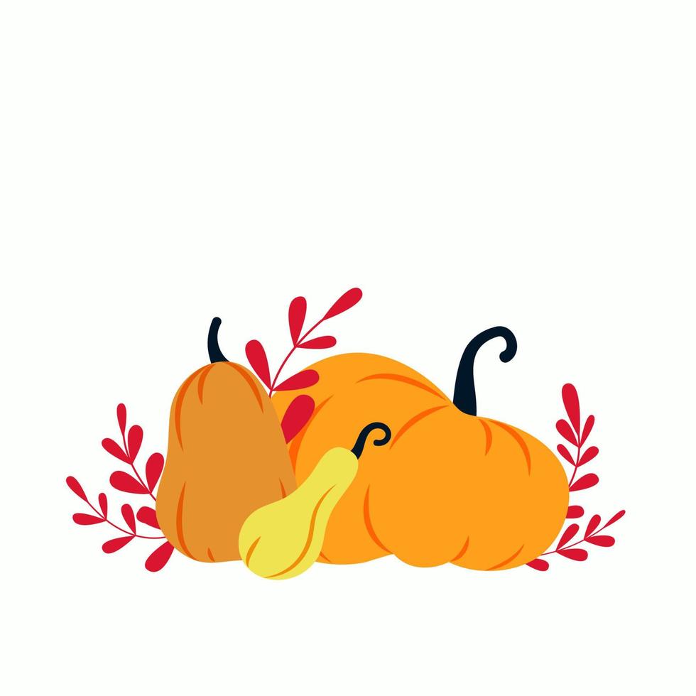 Autumn hand-drawn different pumpkins with leaves composition. Vector illustration concept for card, poster, notebook, calendar, harvest festival, Helloween, Thanksgiving, social media design element.