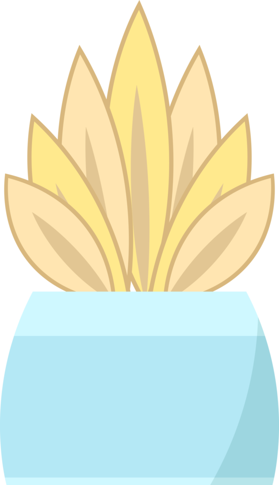 beautiful house plant with yellow leaves in a unique blue pot png