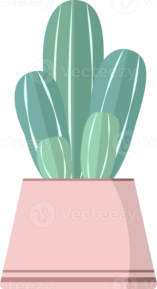 ilustración en maceta de cactus euphorbia ingens png