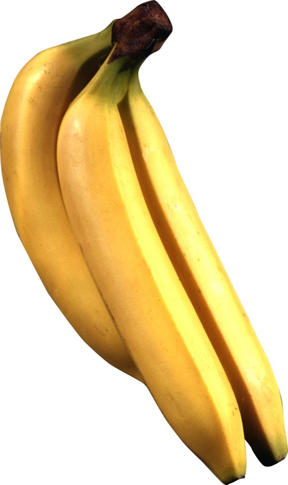 bunch of bananas png