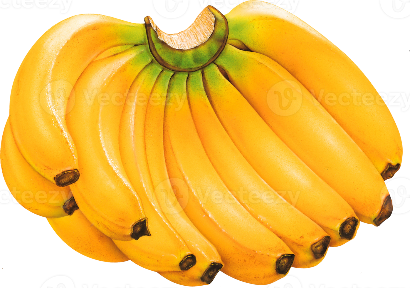 mazzo di banane png