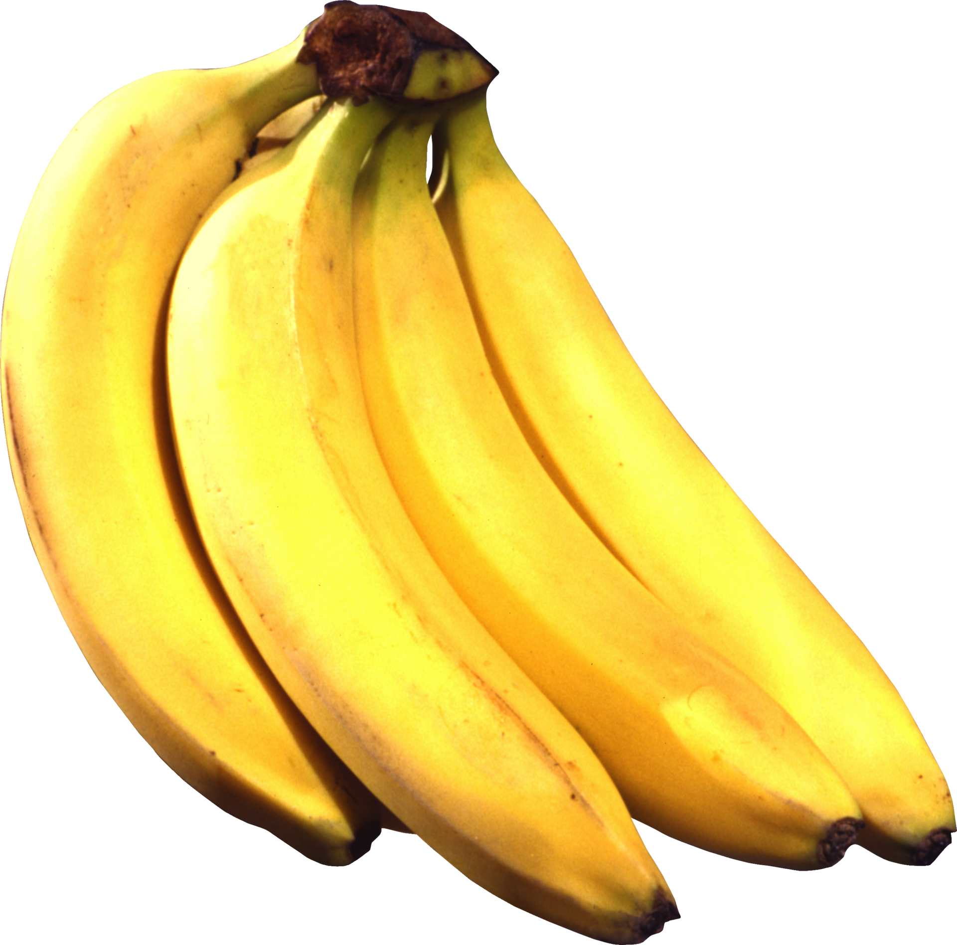 Bananas, bunch