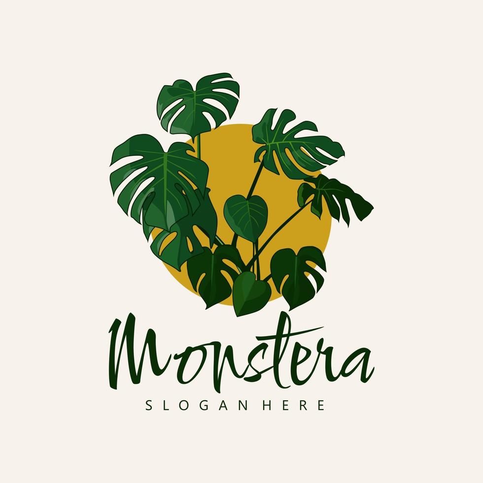 monstera plant illustration vector