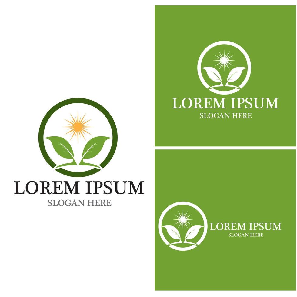 Nature leaf icon and symbol template vector