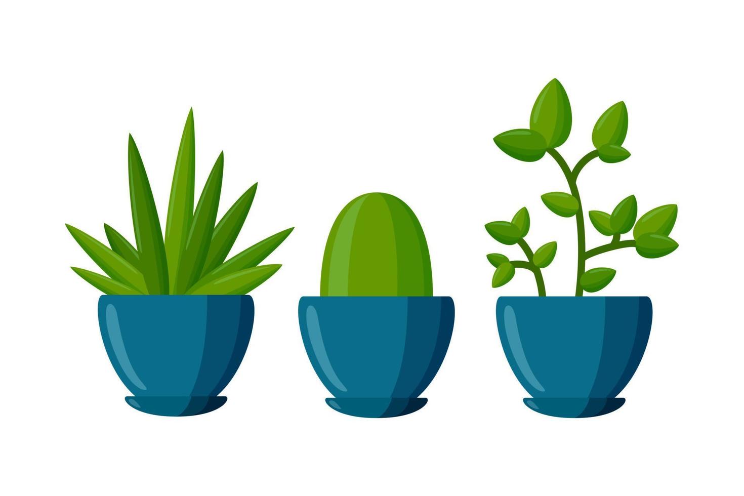 conjunto de plantas en maceta. plantas suculentas al estilo de las caricaturas. ilustración vectorial vector