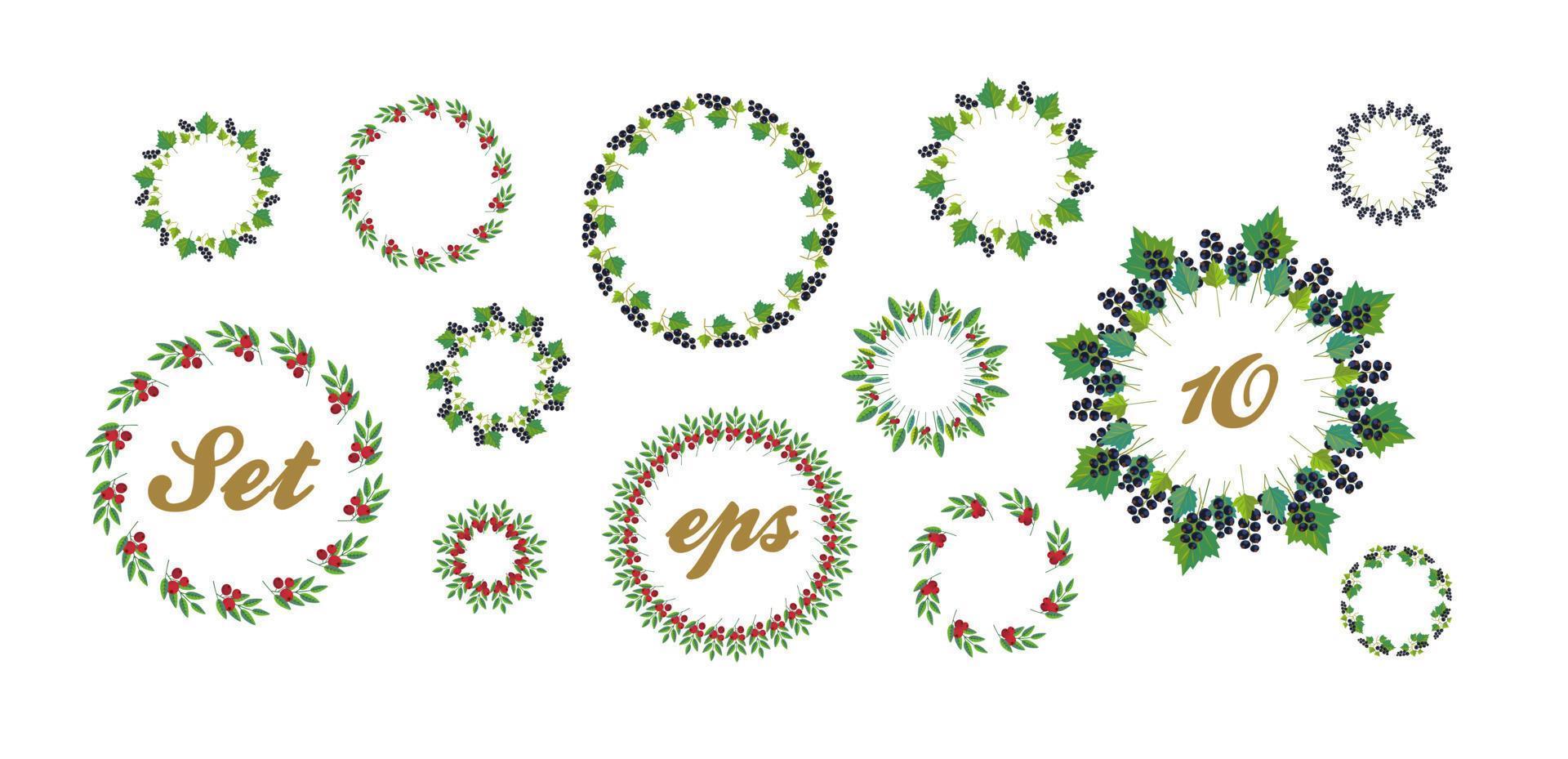 A set of various wreaths of leaves and berries. berries of black currant and cranberries. vector