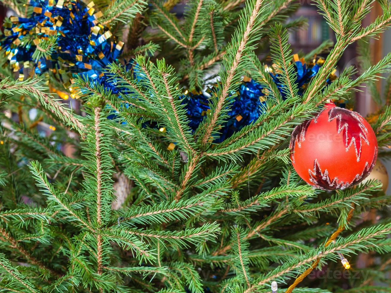 bauble and tinsel on twigs of live Christmas Tree photo