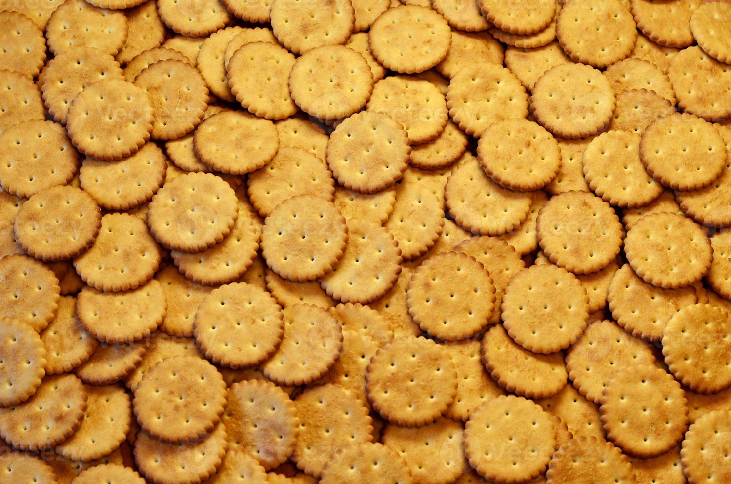 Closeup of salted crackers photo