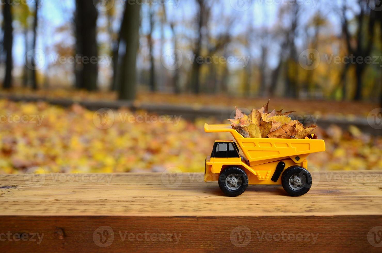 The concept of seasonal harvesting of autumn fallen leaves is depicted in the form of a toy yellow truck loaded with leaves against the background of the autumn park photo