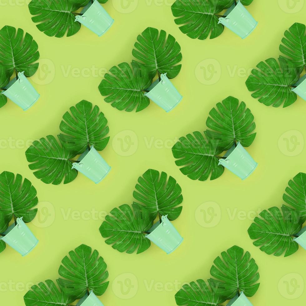 Tropical palm monstera leaves lies in a pastel pails on a colored background. Flat lay trendy minimal pattern. Top view photo