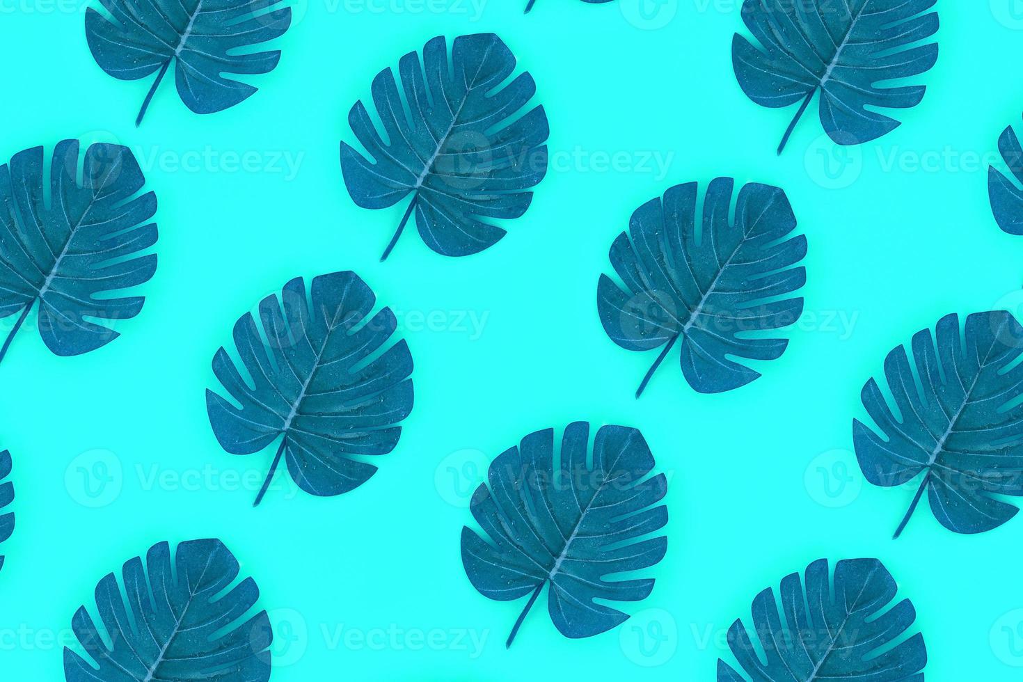 Tropical palm monstera leaves lies on a pastel colored paper. Nature summer concept pattern. Flat lay composition. Top view photo