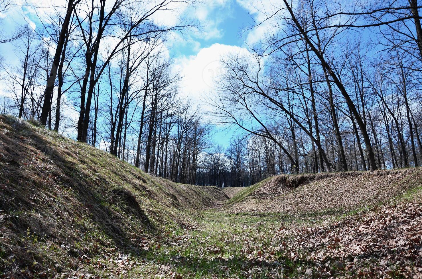 Spring landscape with a deep ravine filled with fallen leaves surrounded by a lot of trees on the edge of the forest next to the village photo