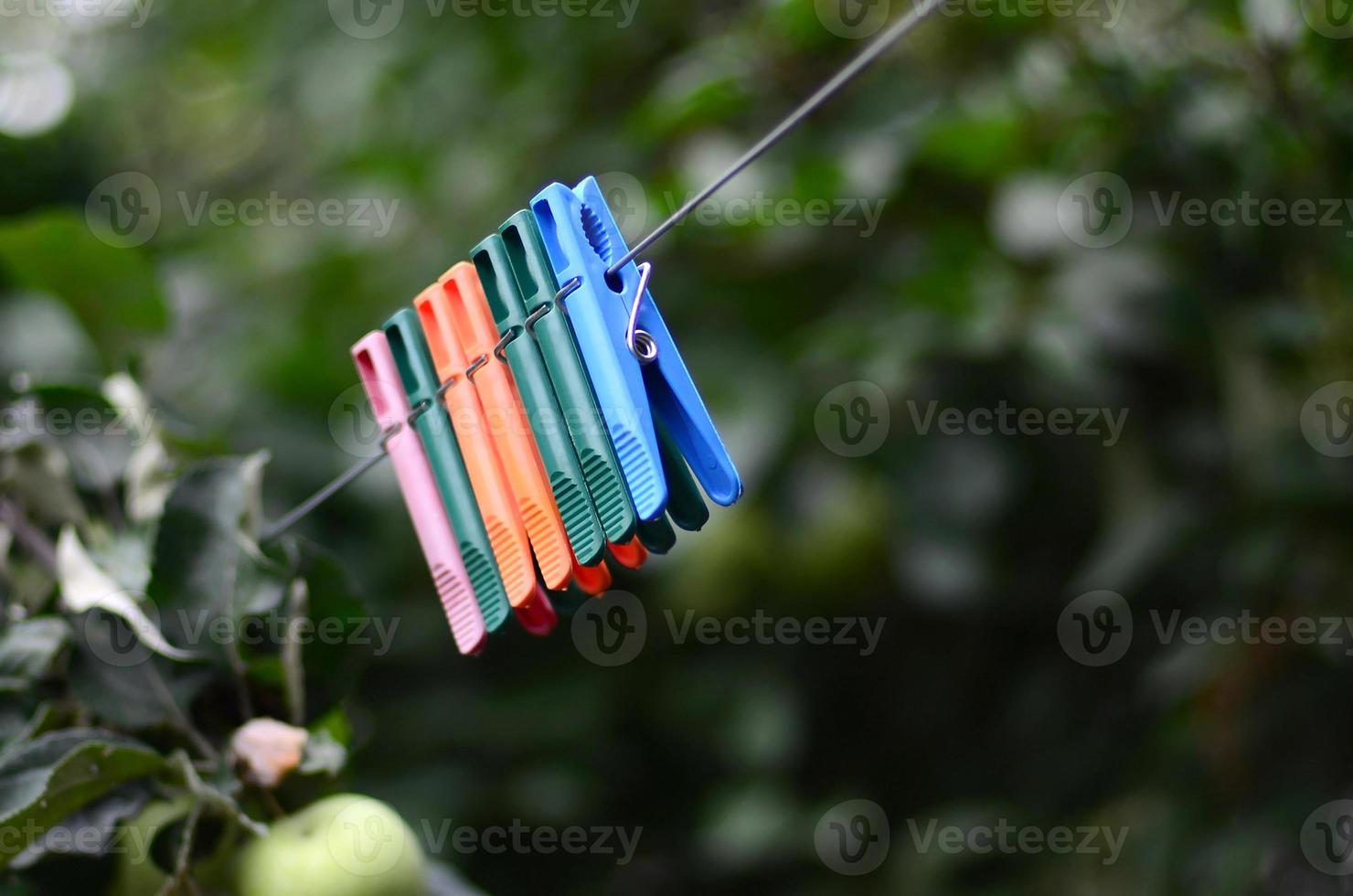 Clothespins on a rope hanging outside house and apple tree photo