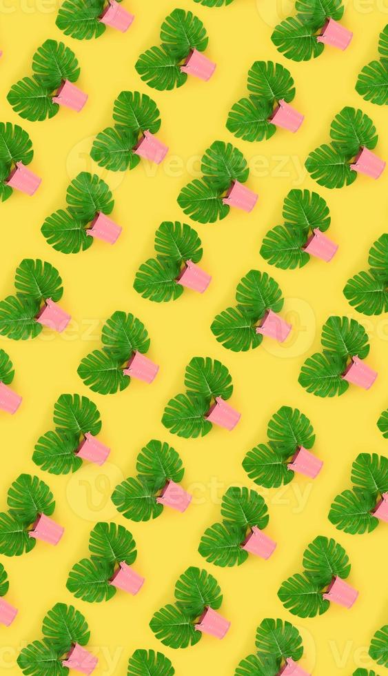 Tropical palm monstera leaves lies in a pastel pails on a colored background. Flat lay trendy minimal pattern. Top view photo