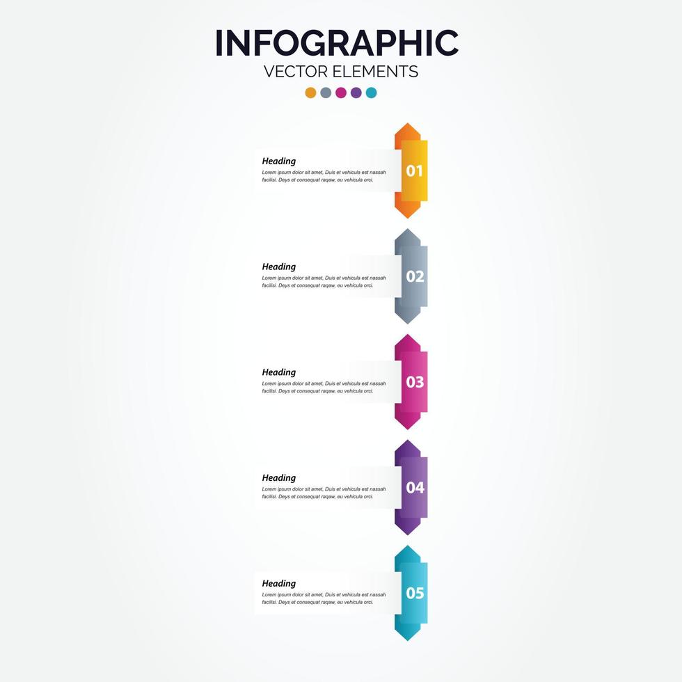 Timeline 5 options Vertical Infographic for presentations workflow process diagram flow chart report vector