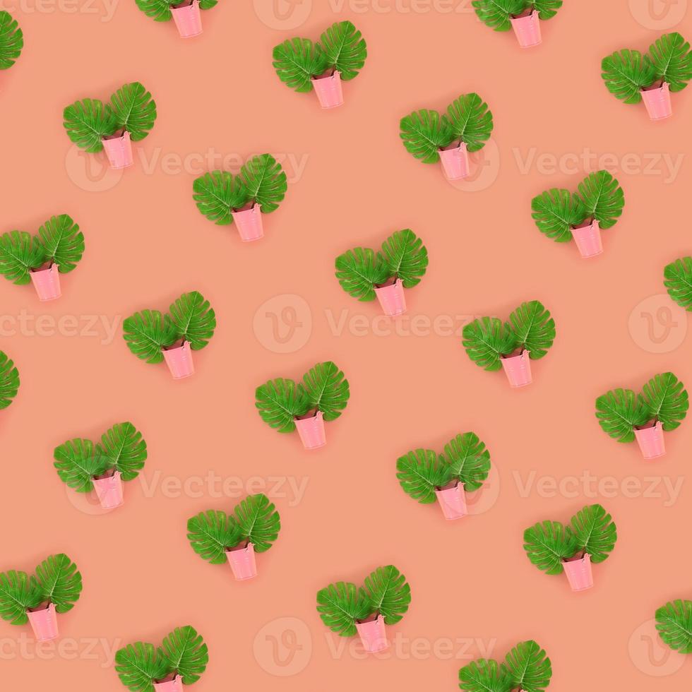 Tropical palm monstera leaves lies in a pastel pails on a colored background. Flat lay trendy minimal pattern. Top view photo