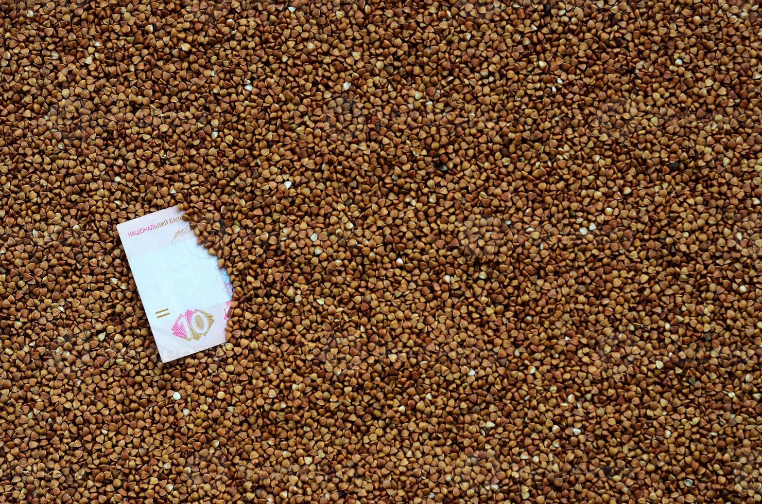 Background texture of a large pile of buckwheat, among which one can see a bill of one Ukrainian hryvnia. The concept of increasing prices for cereals in Ukraine photo