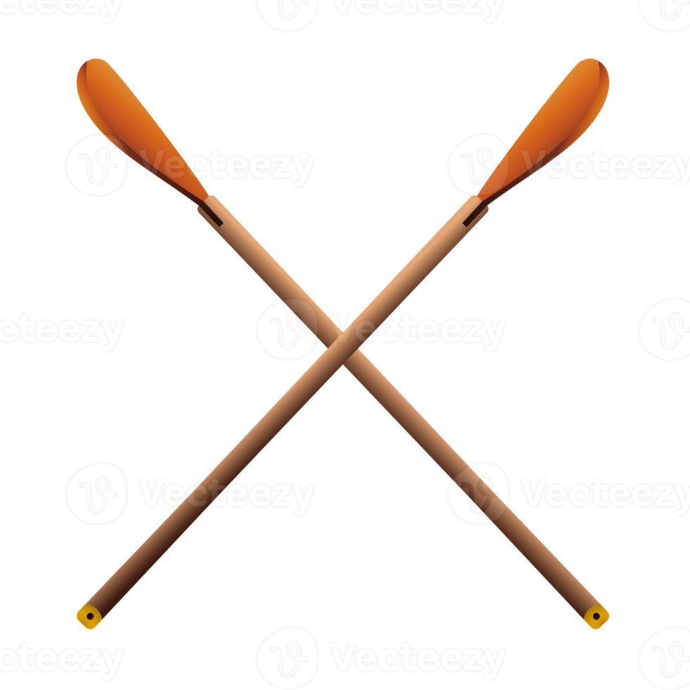 Crossed oars in realistic style. Canoe paddles. Colorful PNG illustration.