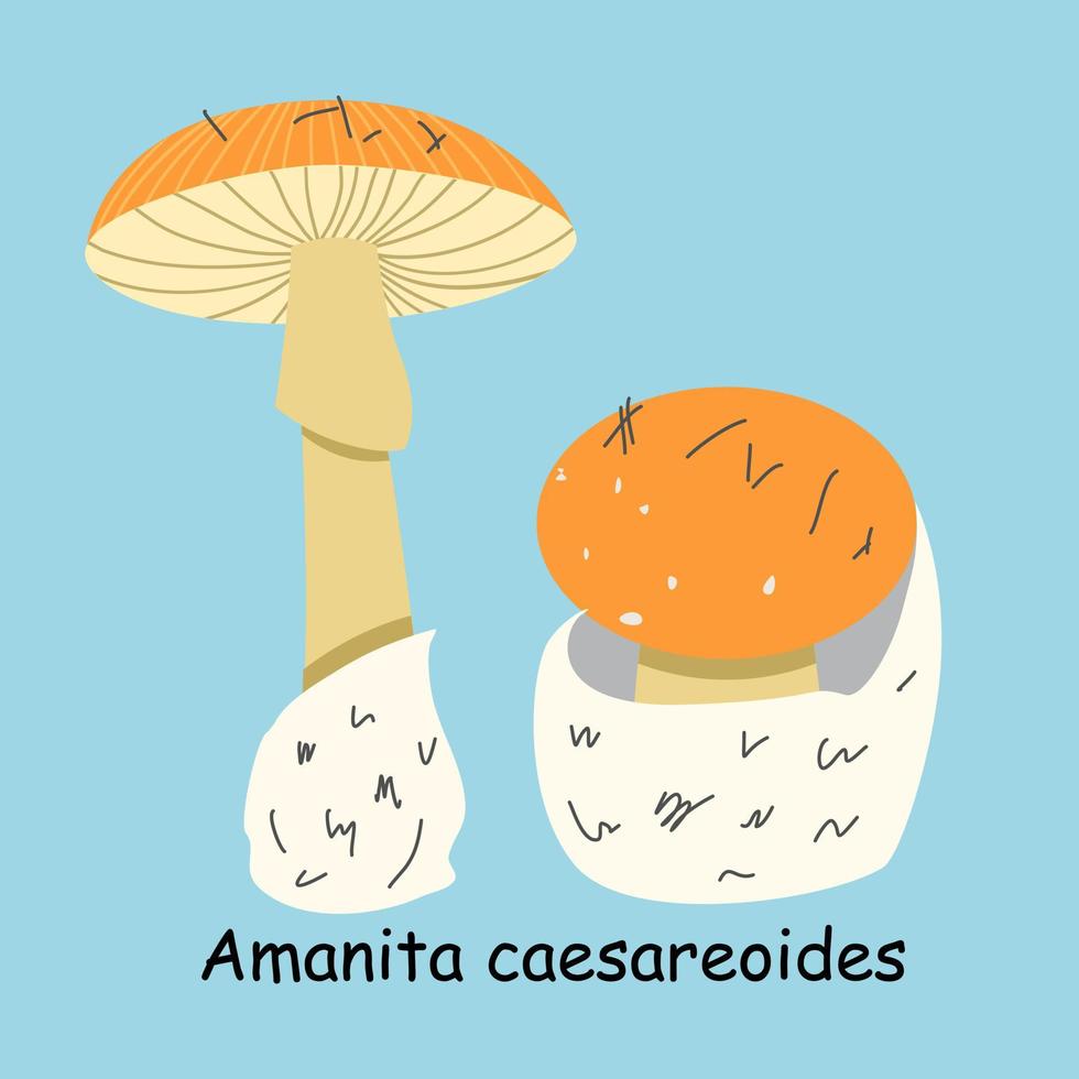 A flat vector of an edible mushroom isolated on a blue background.
