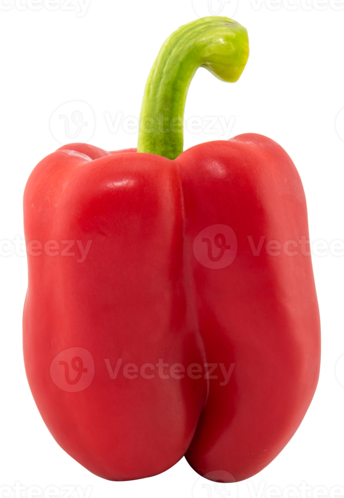 Sweet red pepper isolated png