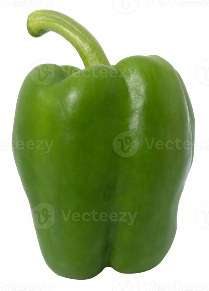 Sweet green pepper isolated png