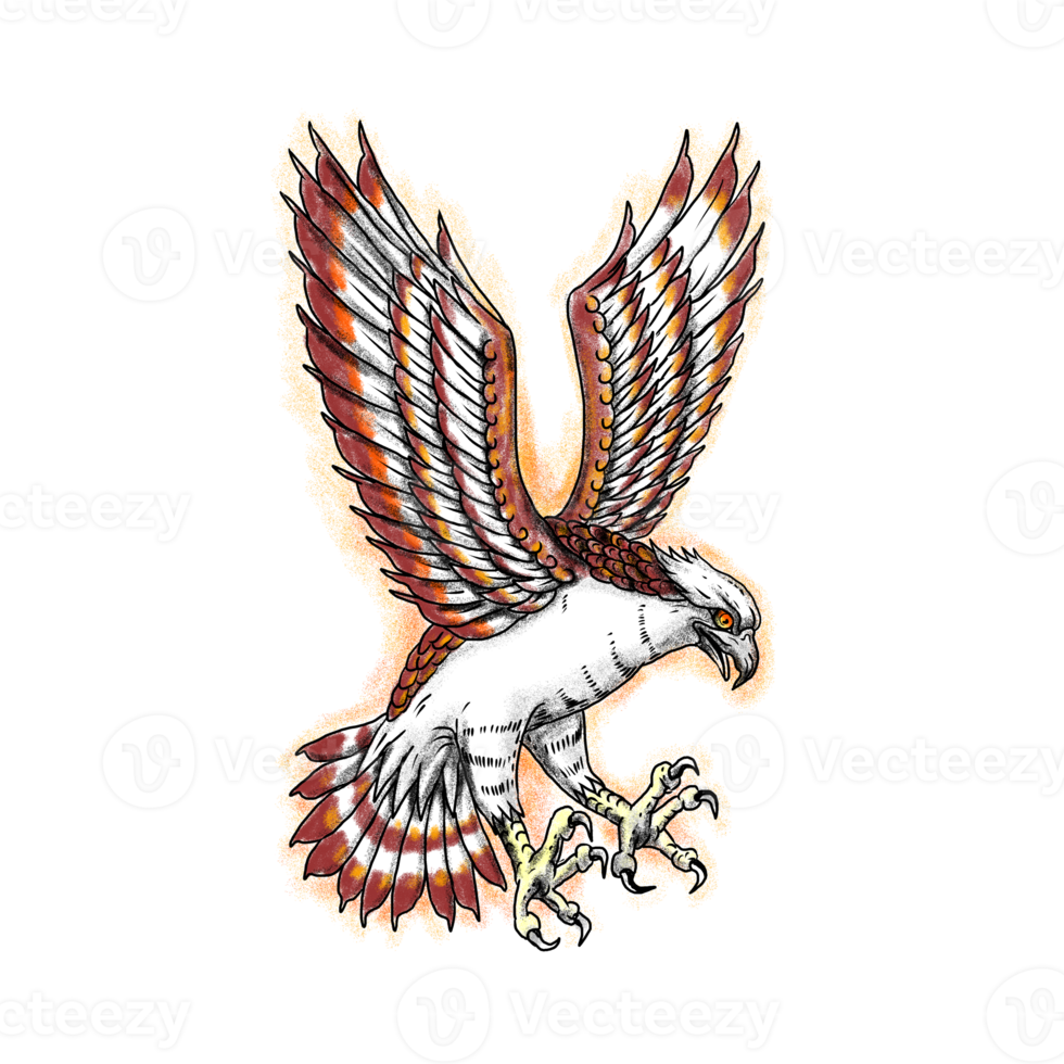 Osprey Swooping Front Tattoo png