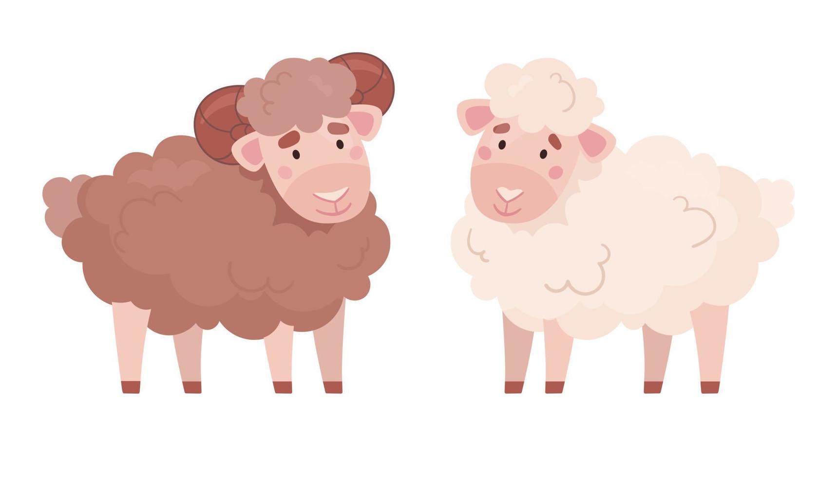 Fluffy ram and sheep, animal vector illustration in cartoon style. Set of cute farm  animals