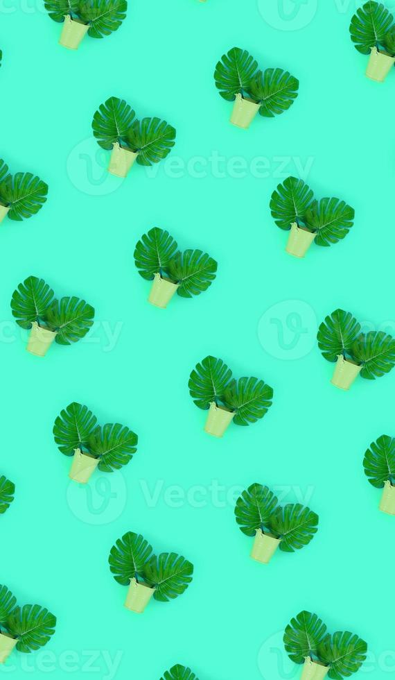 Tropical palm monstera leaves lies in a pastel pails on a colored background. Flat lay trendy minimal pattern. Top view photo