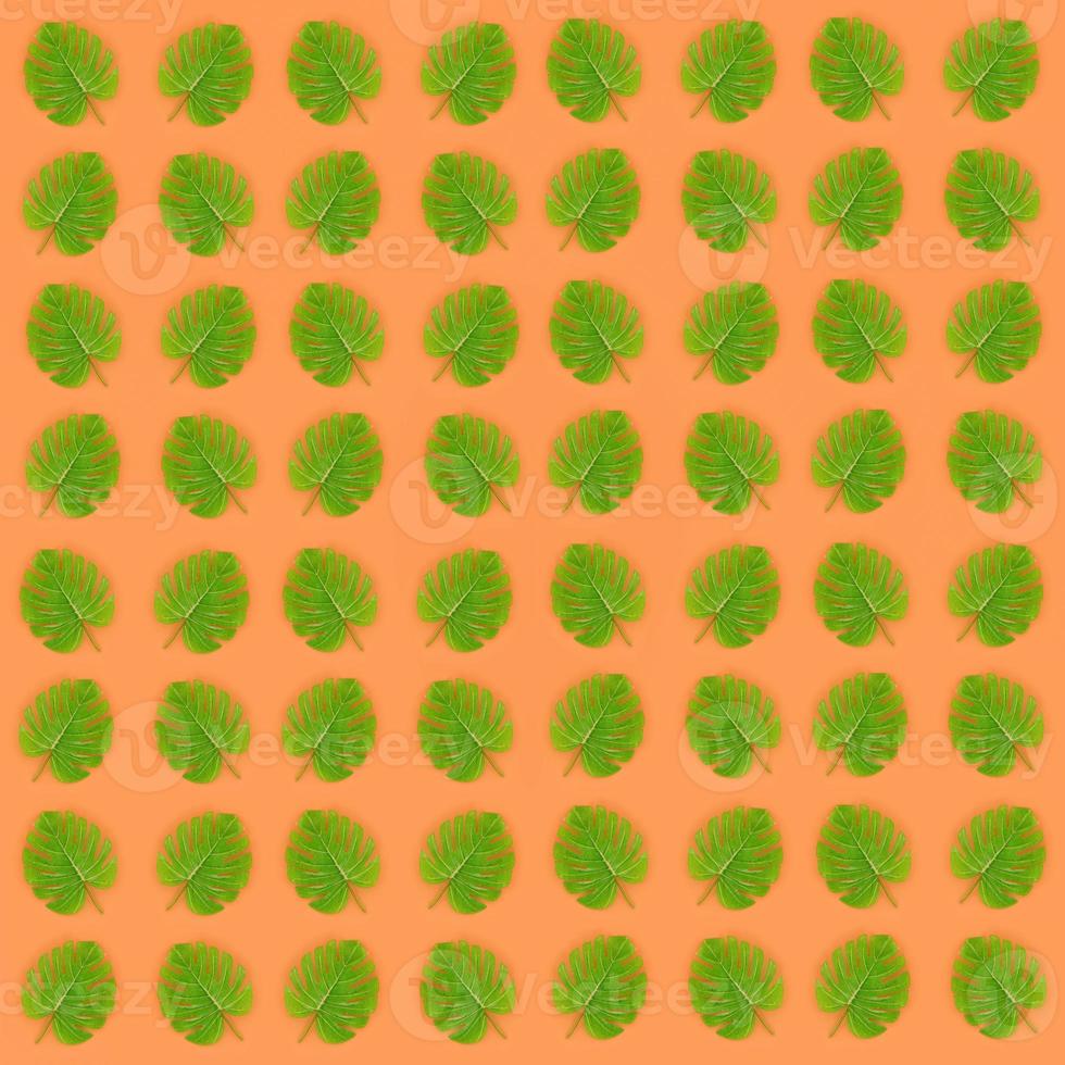 Tropical palm monstera leaves lies on a pastel colored paper. Nature summer concept pattern. Flat lay composition. Top view photo