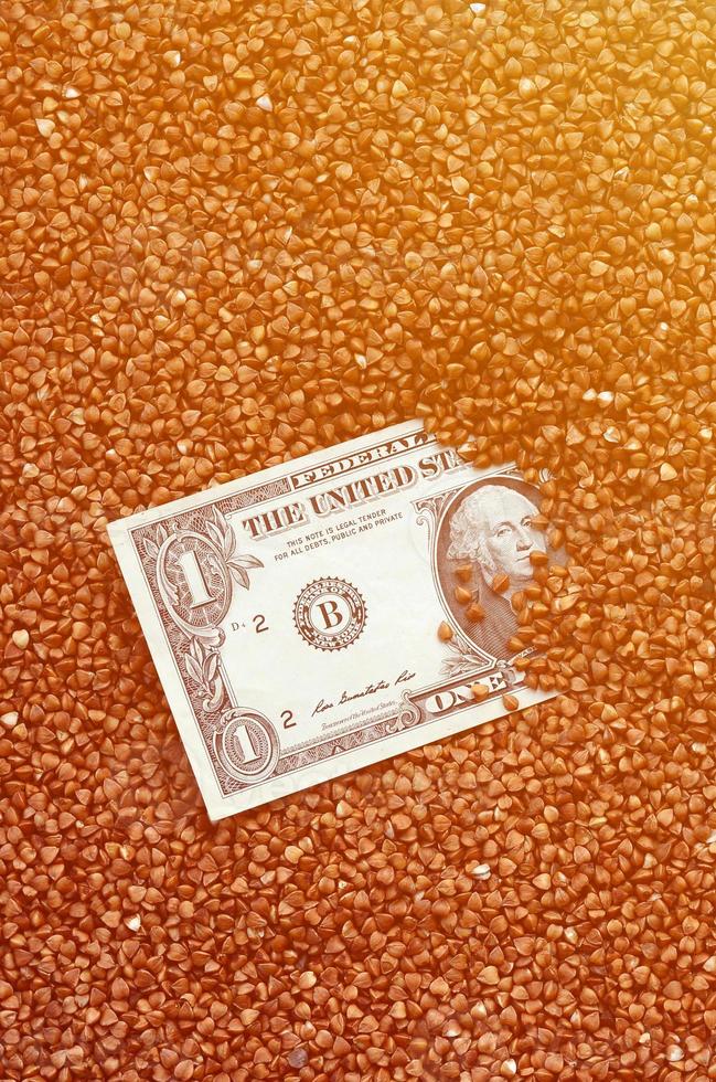 The background texture of a large pile of buckwheat, in the middle of which you see a bill of one US dollar. The concept of higher prices for cereals photo