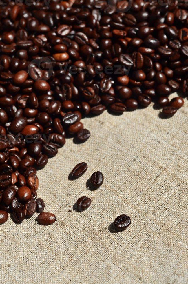 Texture of a gray canvas made of old and coarse burlap with coffee beans on it photo