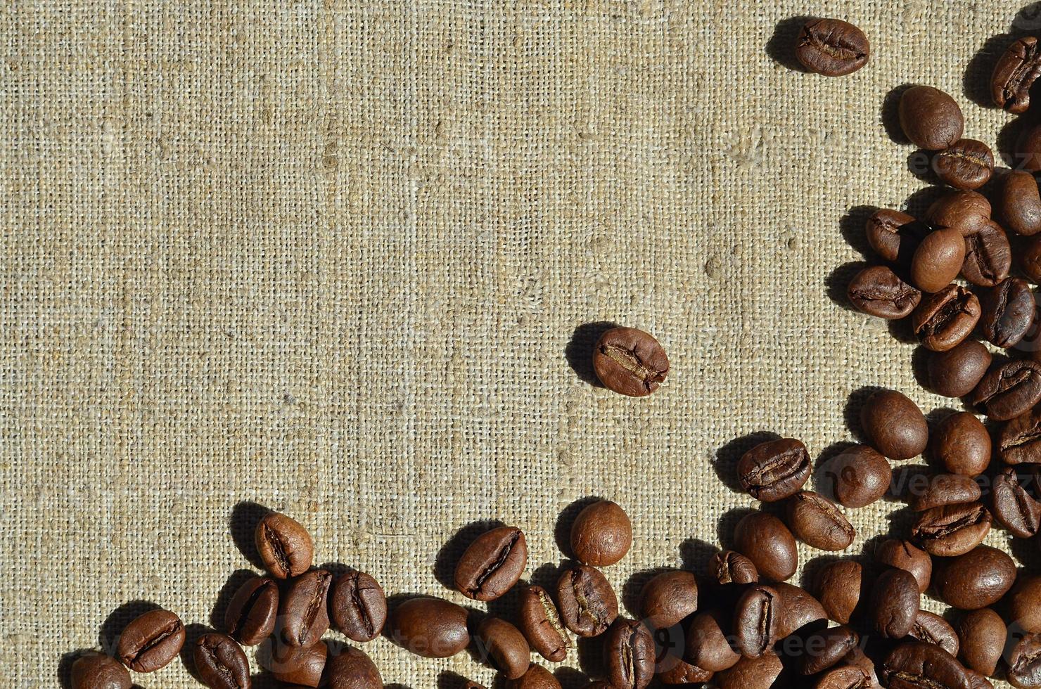Texture of a gray canvas made of old and coarse burlap with coffee beans on it photo
