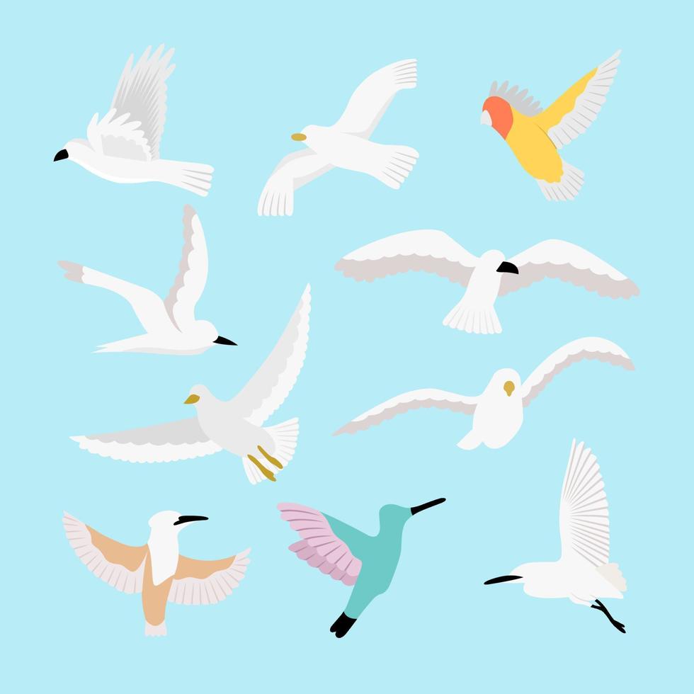 Set Of Flat Bird Illustration vector