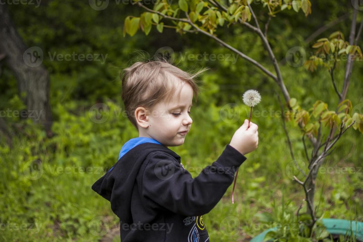 un niño feliz en un día de primavera en el jardín sopla dientes de león blancos, la pelusa vuela de él. el concepto de recreación al aire libre en la infancia. retrato de un chico lindo. foto