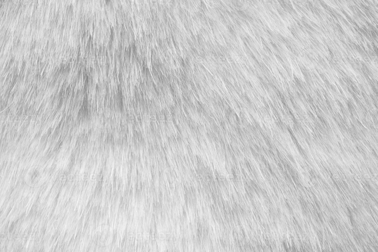 White fur fabric texture background 12926608 Stock Photo at Vecteezy