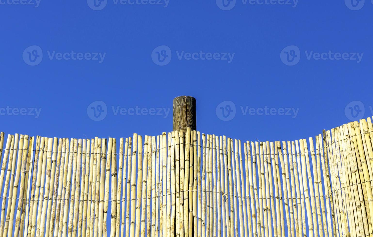 light-colored bamboo fence against a clear sky photo
