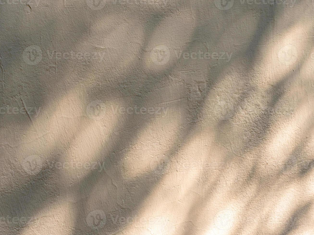 Textura de pared de biege de construcción áspera con sombras de árboles foto