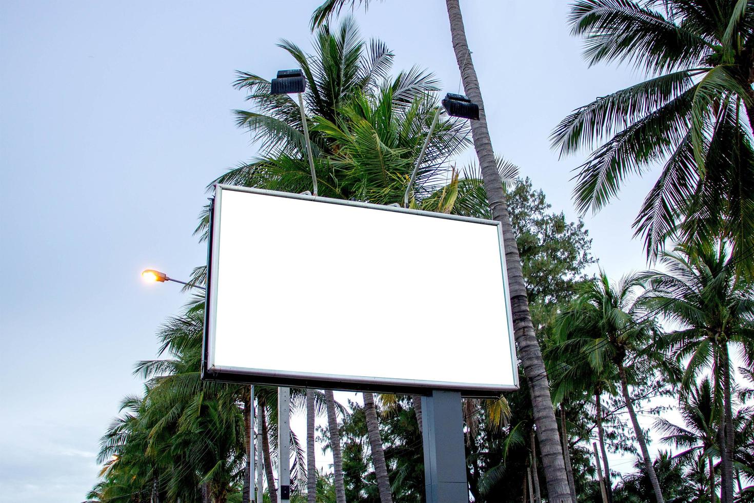 Roadside billboards on the beach with tons of coconuts in the background lights sky photo