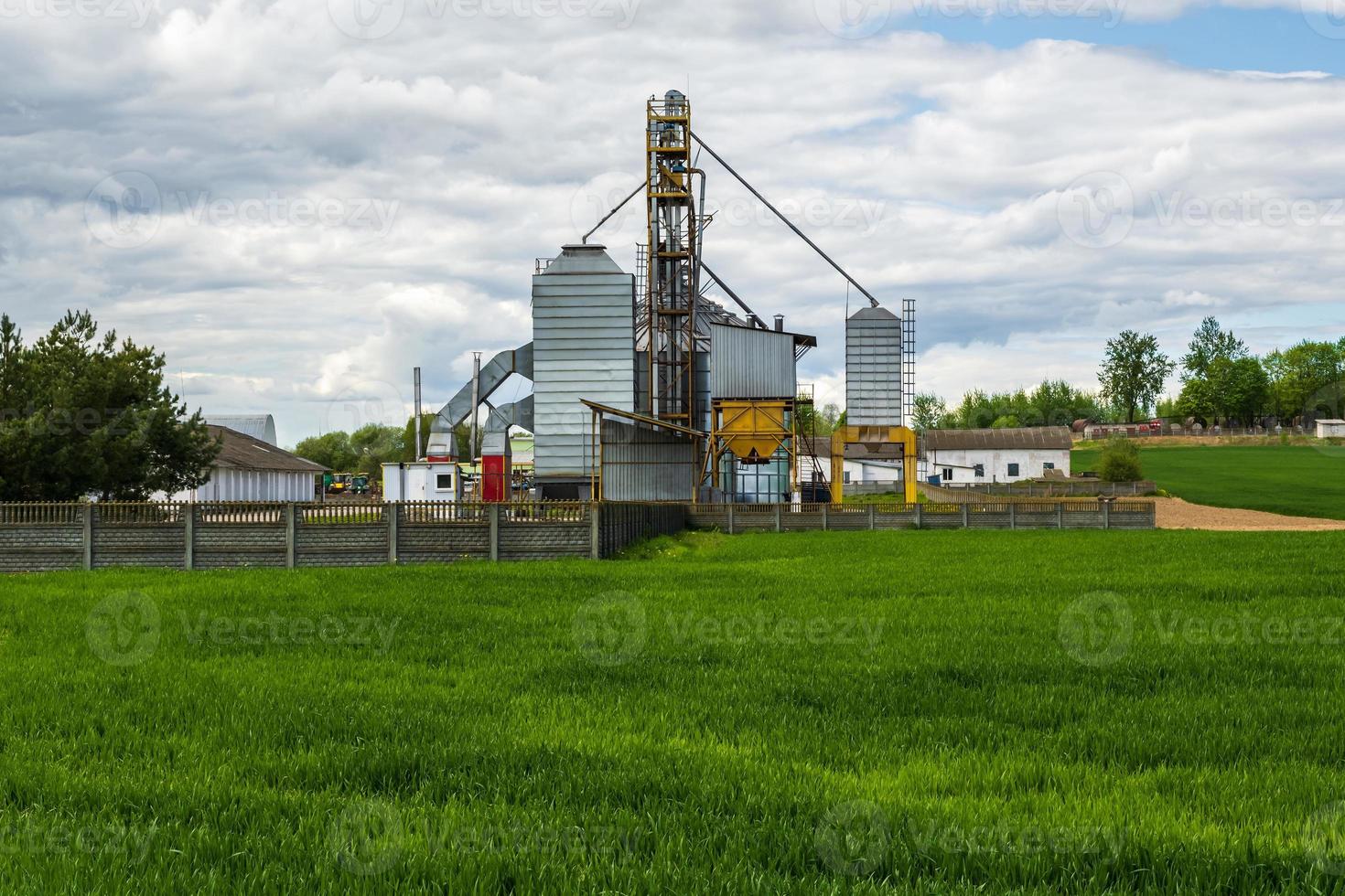 Elevador de granero de silos agrícolas en la planta de fabricación de procesamiento agrícola para procesar, secar, limpiar y almacenar productos agrícolas en campos de centeno o trigo. foto