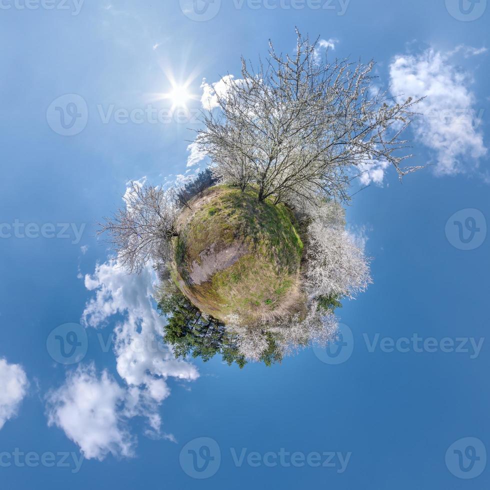 spring tiny planet transformation of spherical panorama 360 degrees. Spherical abstract aerial view in cherry blooming garden. Curvature of space. photo